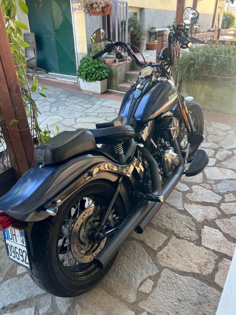 Harley-Davidson 1584 Cross Bones (2008 - 11) - FLSTSB (3)