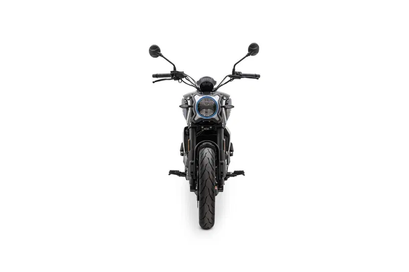 CFMOTO 300CL-X Heritage (2023 - 26) (3)