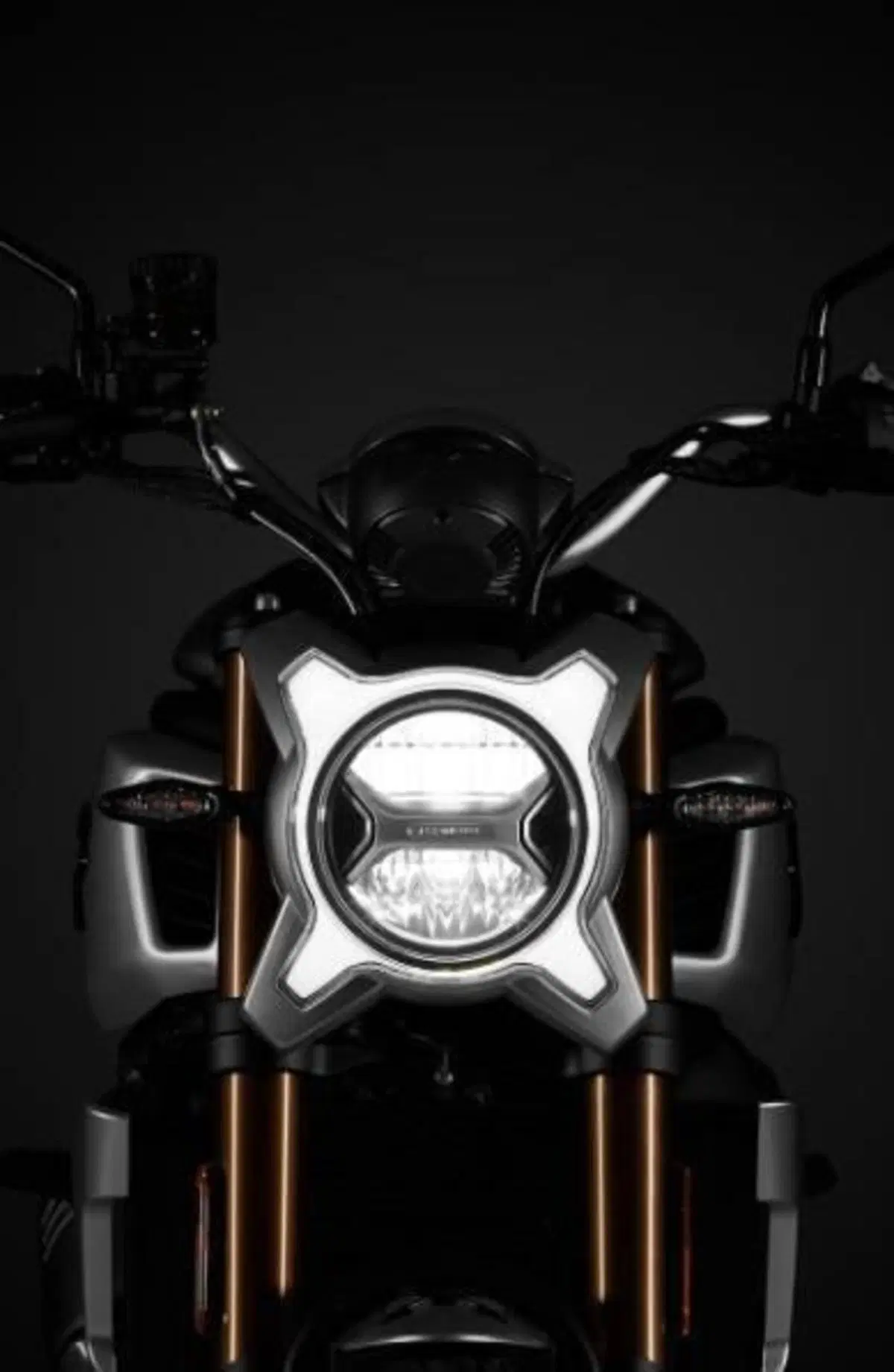 CFMOTO 700CL-X Heritage (2021 - 26) (5)