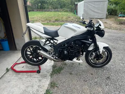 Triumph Speed Triple 1050 (2005 - 11) usata