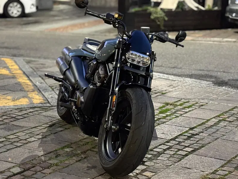 Harley-Davidson Sportster S (2022 - 24) (2)