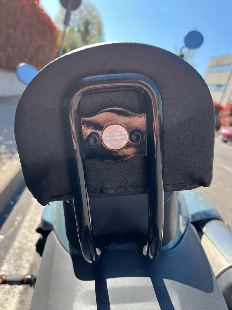 Harley-Davidson Sportster S (2022 - 24) (8)