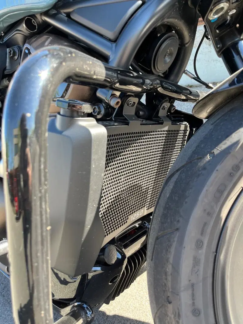 Harley-Davidson Sportster S (2022 - 24) (9)