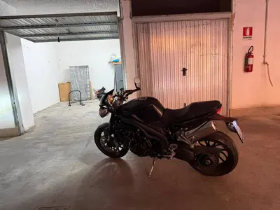 Triumph Speed Triple 1050 (2005 - 11) usata