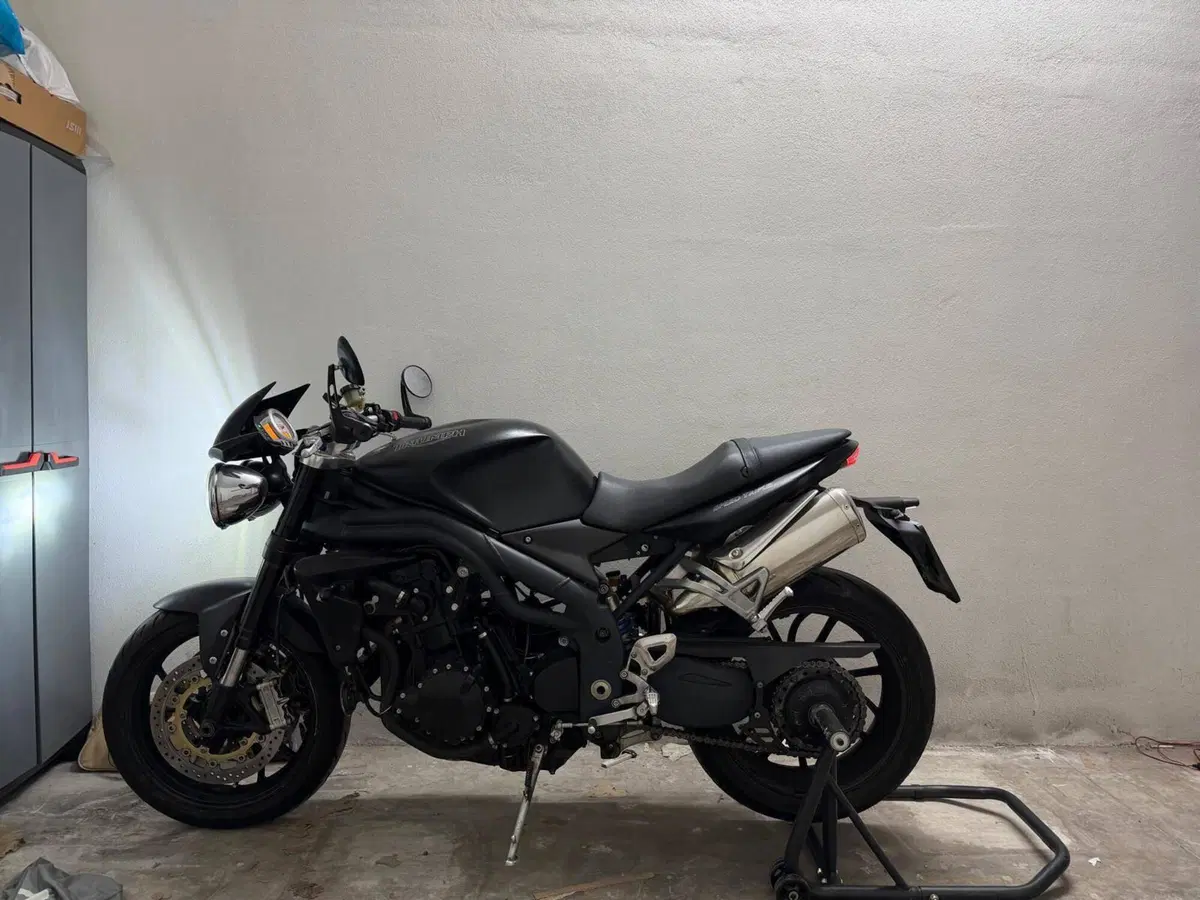 Triumph Speed Triple 1050 (2005 - 11) (3)