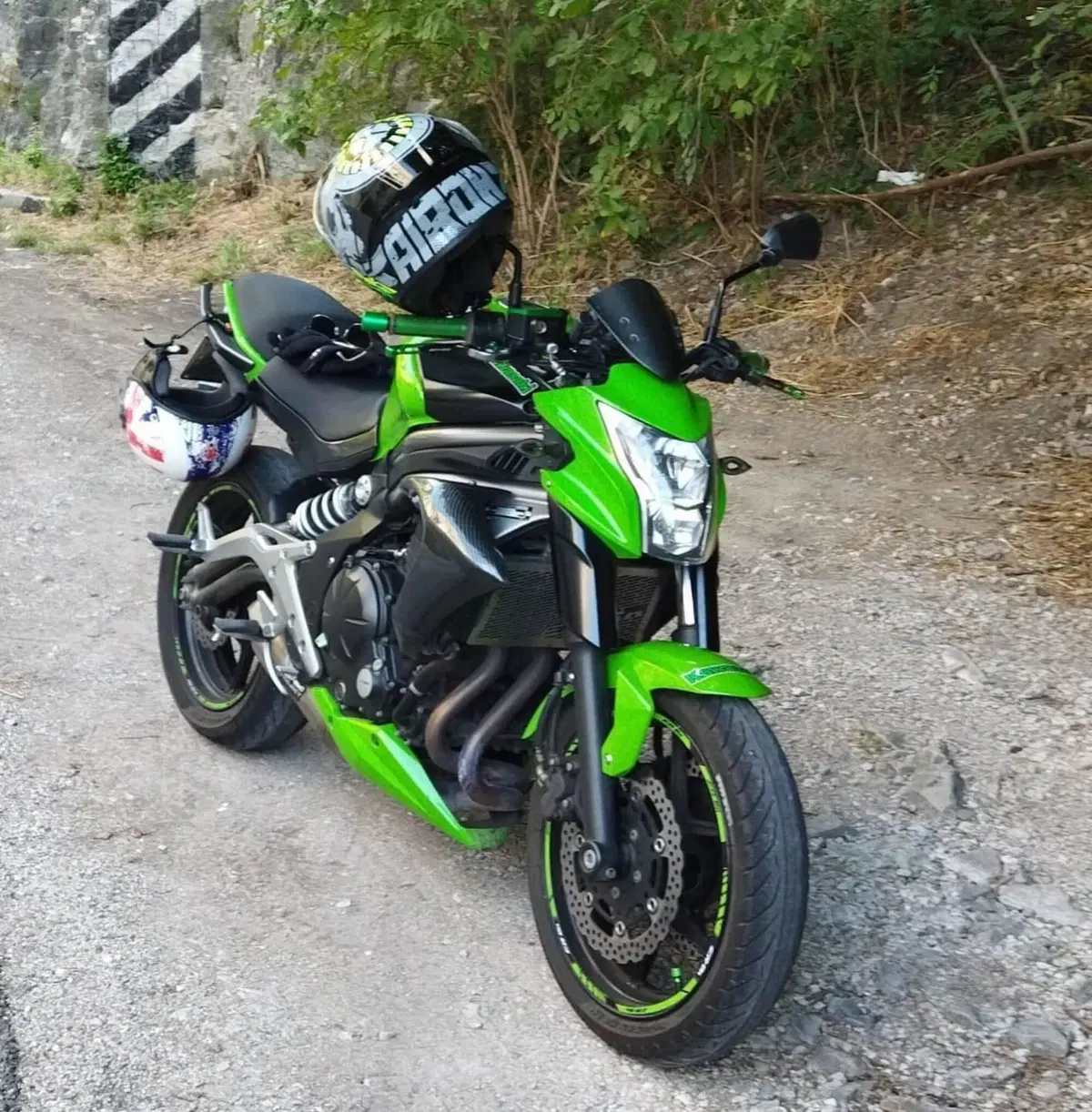 Kawasaki ER-6N (2012 - 13) (2)