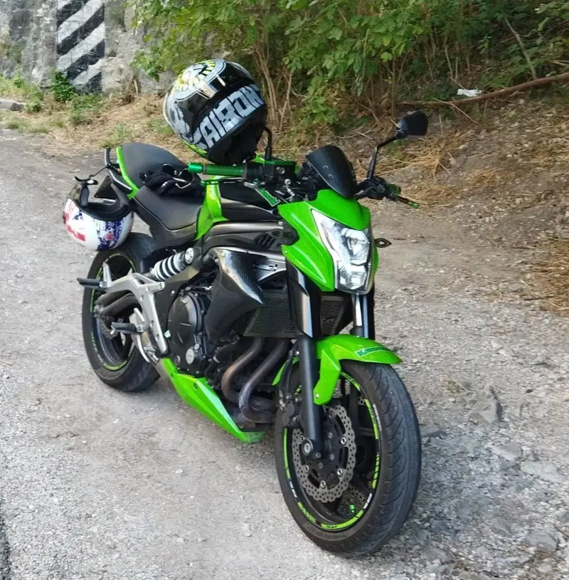 Kawasaki ER-6N (2012 - 13) (2)