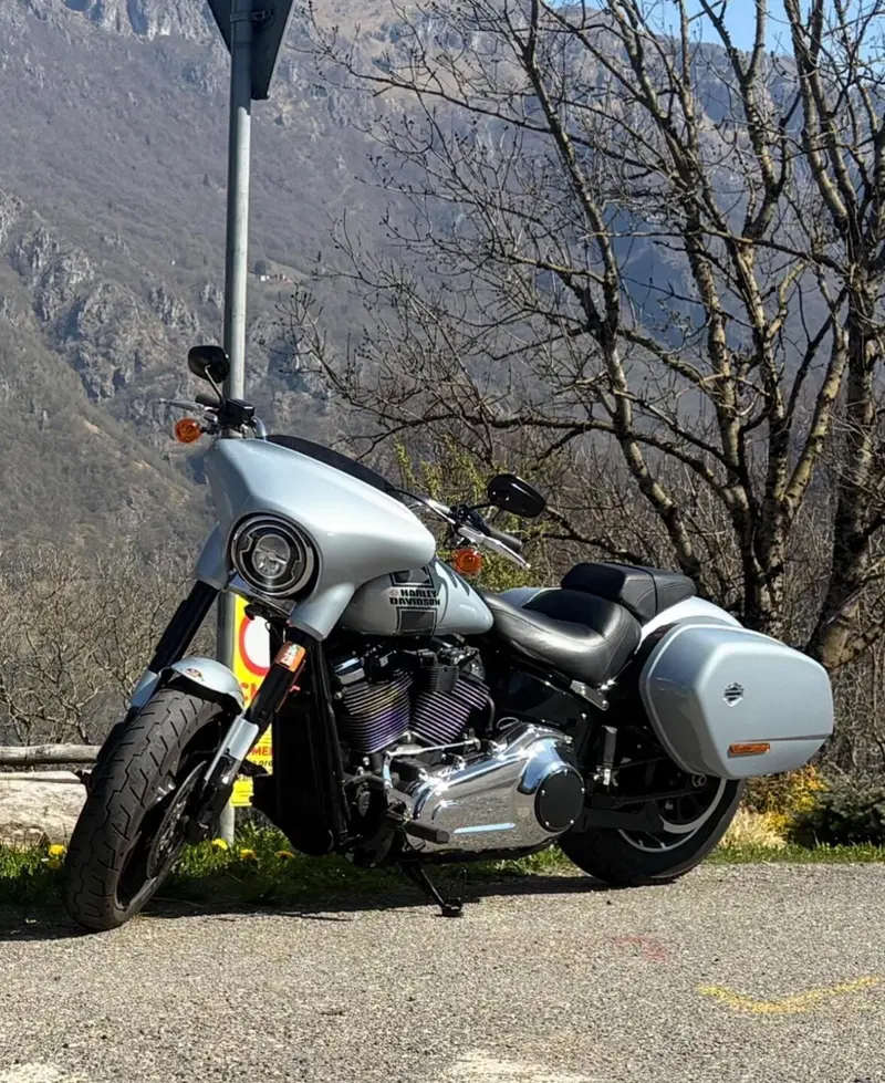 Harley-Davidson 107 Sport Glide (2018 - 20) (3)