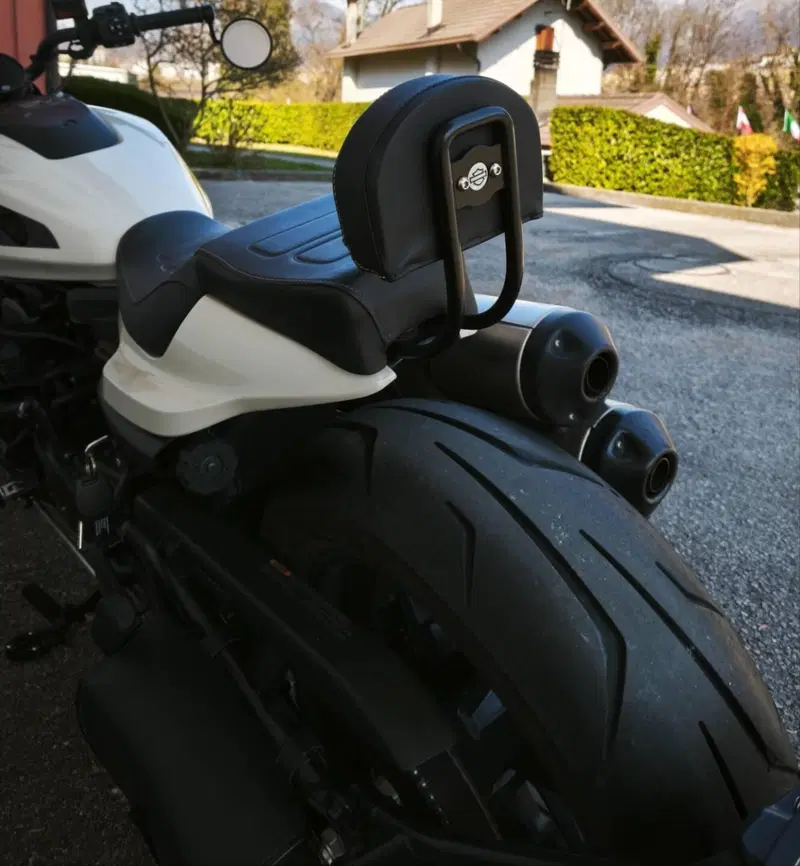 Harley-Davidson Sportster S (2022 - 24) (5)