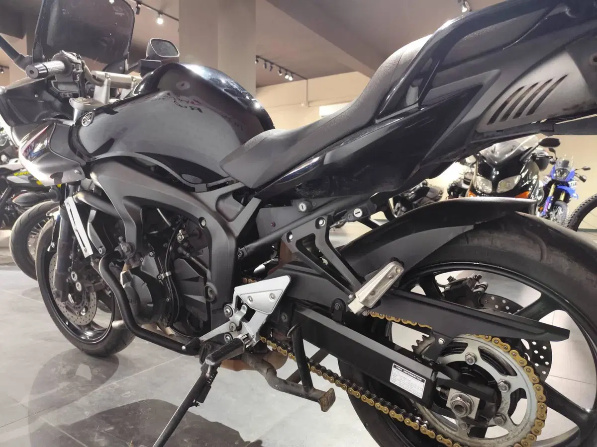 Yamaha FZ6 Fazer S2 (2006 - 11) (6)