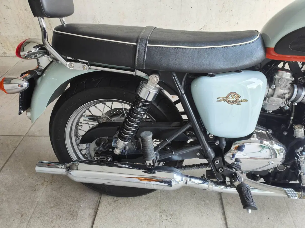 Triumph Bonneville T100 50th Anniversary (2009) (7)