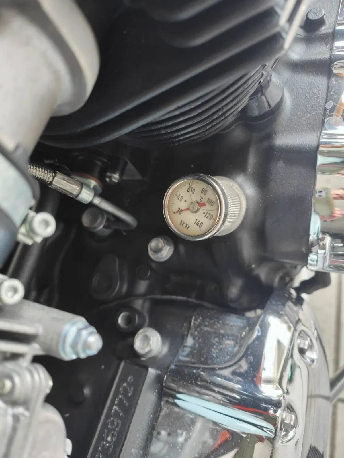 Triumph Bonneville T100 50th Anniversary (2009) (11)