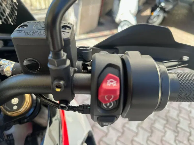 Ducati DesertX Rally (2024 - 25) (9)