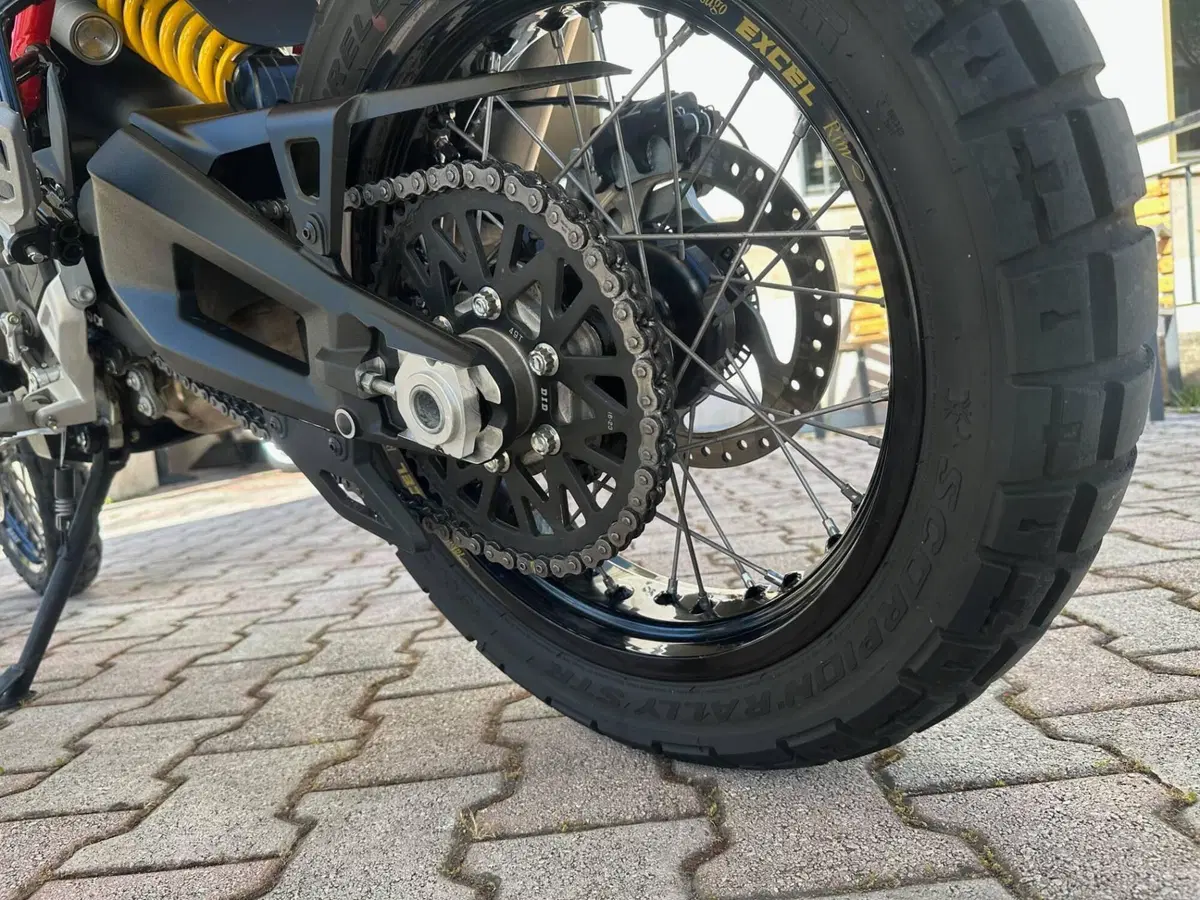 Ducati DesertX Rally (2024 - 25) (12)