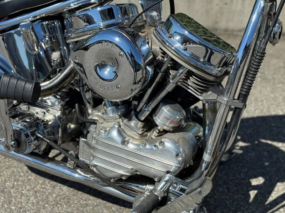 Harley-Davidson Softail Standard (2020) - FXST (3)