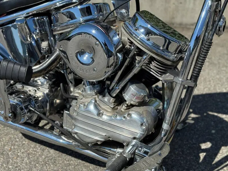 Harley-Davidson Softail Standard (2020) - FXST (3)
