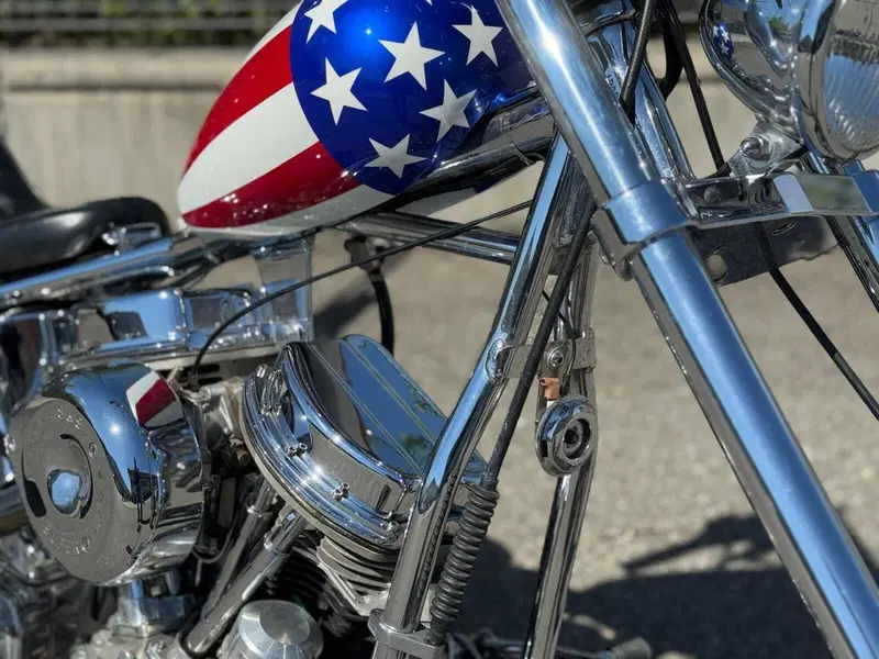 Harley-Davidson Softail Standard (2020) - FXST (6)