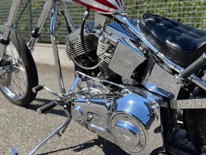 Harley-Davidson Softail Standard (2020) - FXST (9)
