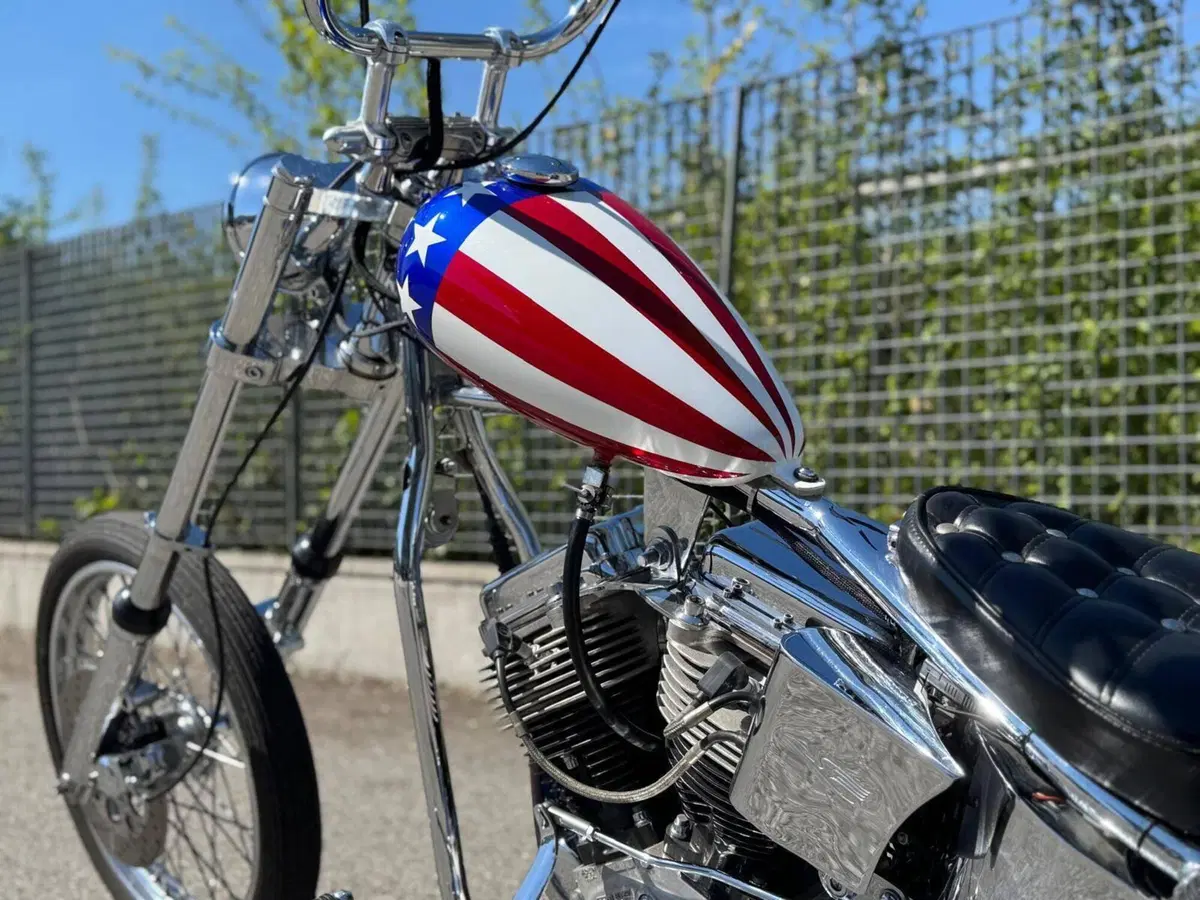 Harley-Davidson Softail Standard (2020) - FXST (10)
