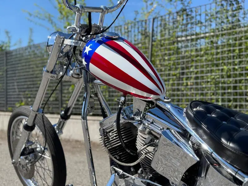 Harley-Davidson Softail Standard (2020) - FXST (10)