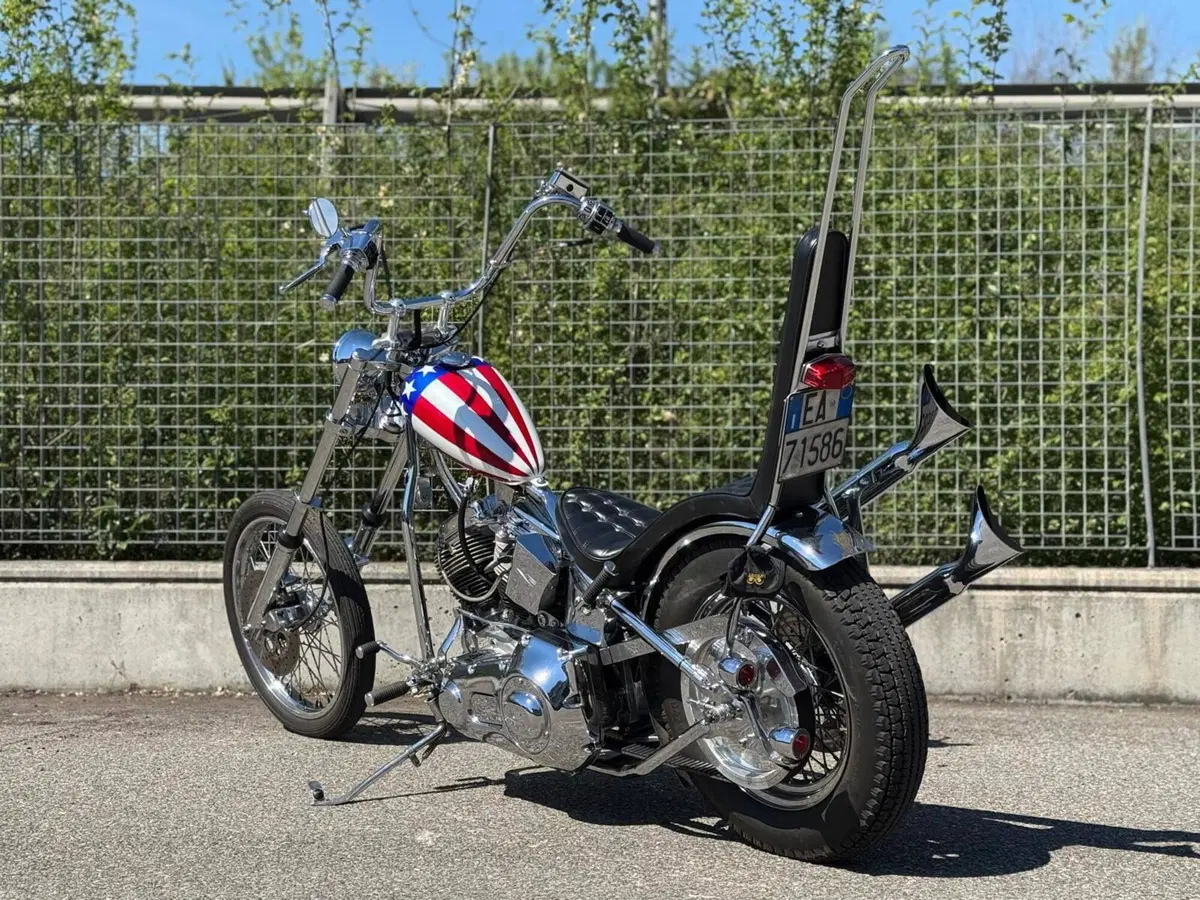 Harley-Davidson Softail Standard (2020) - FXST (13)