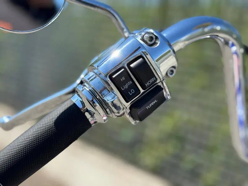 Harley-Davidson Softail Standard (2020) - FXST (15)