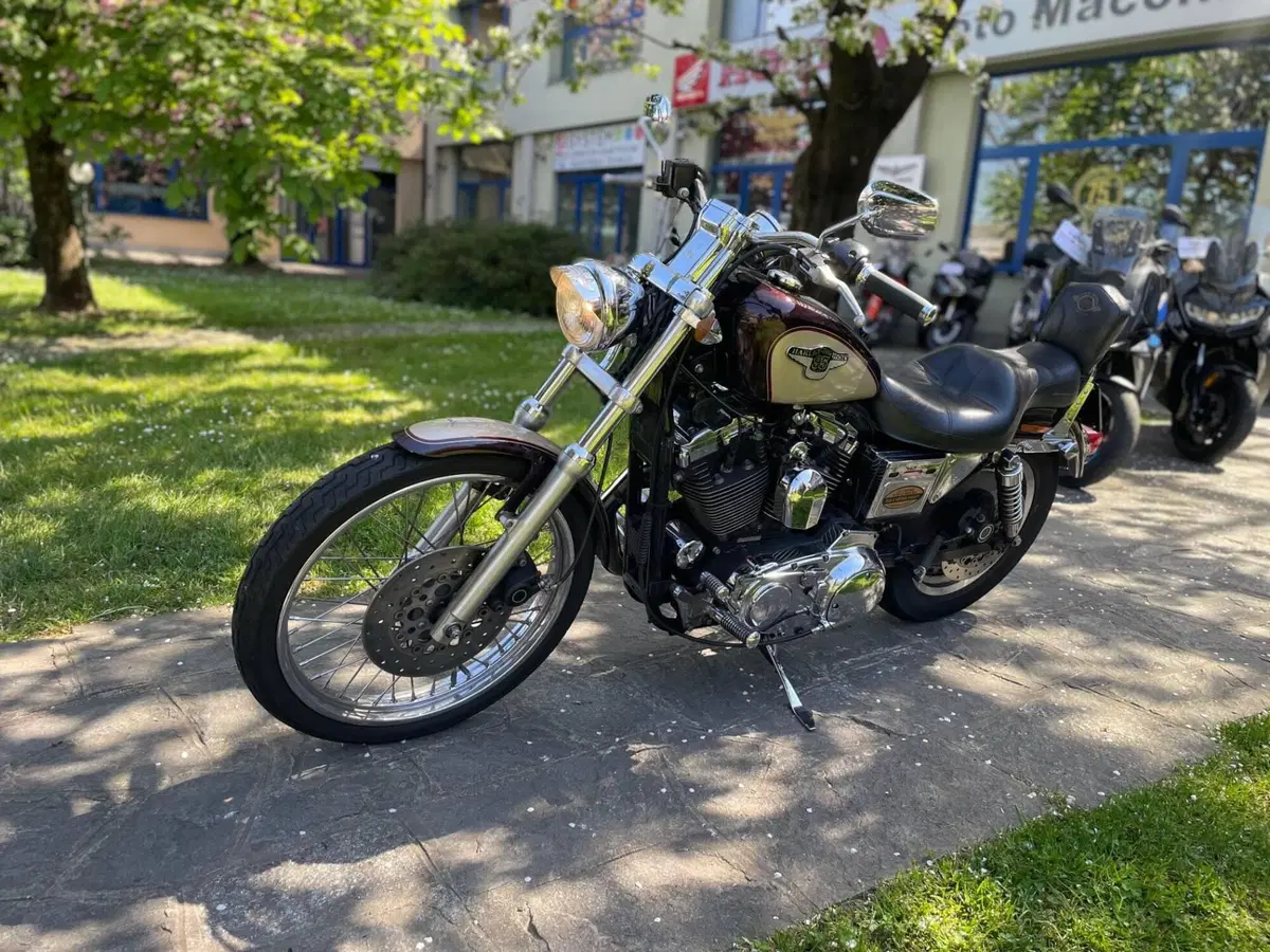 Harley-Davidson 1200 Custom (1995 - 00) - XL 1200C (3)