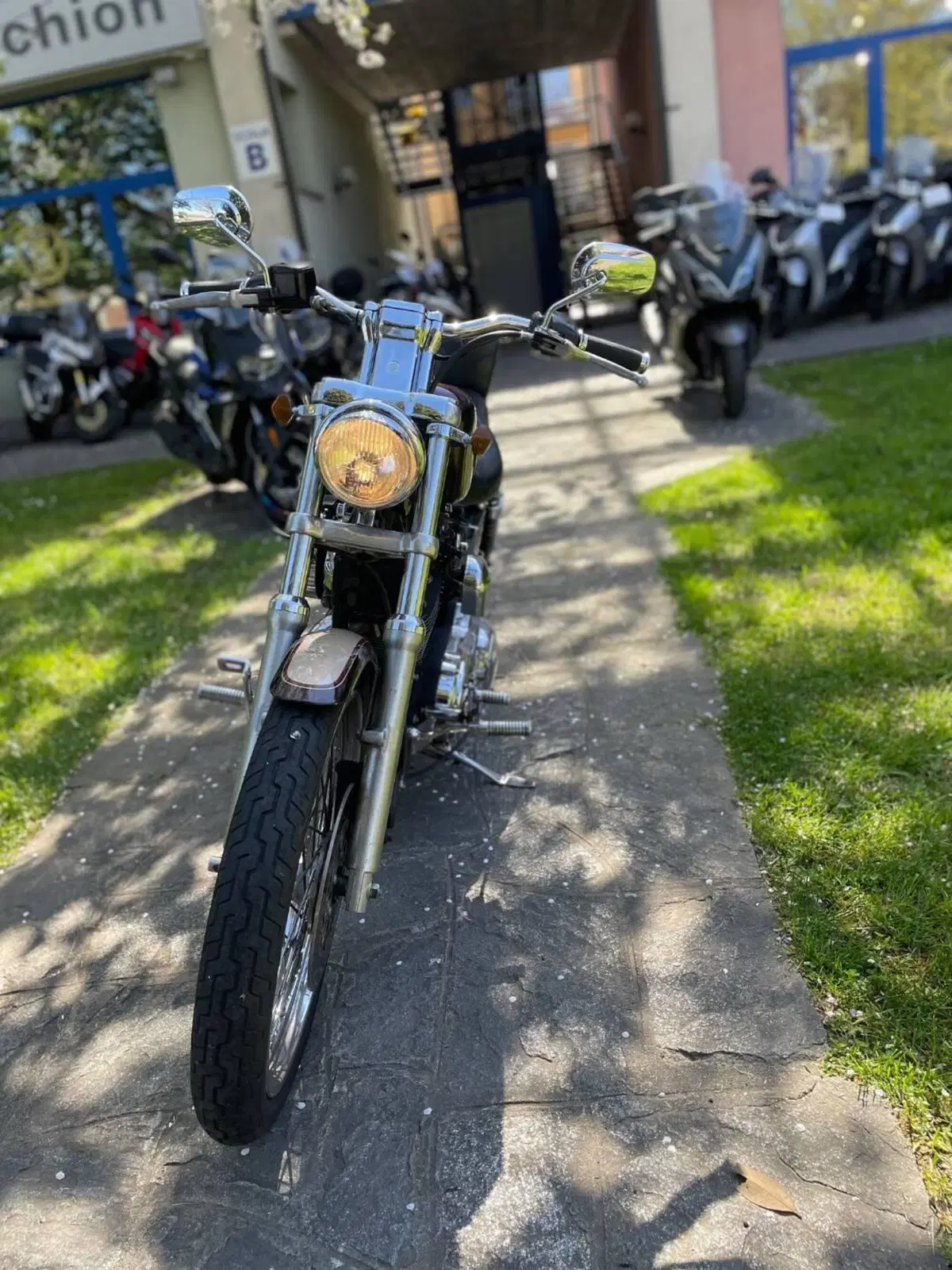 Harley-Davidson 1200 Custom (1995 - 00) - XL 1200C (4)