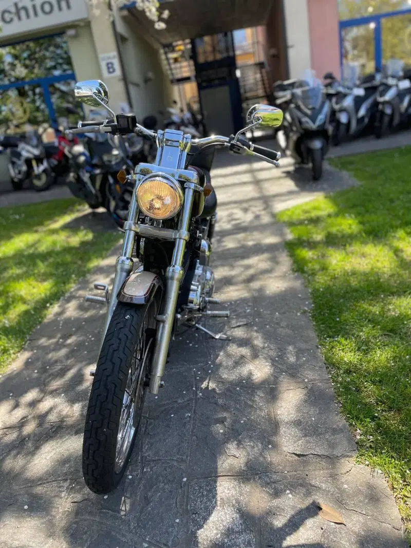 Harley-Davidson 1200 Custom (1995 - 00) - XL 1200C (4)