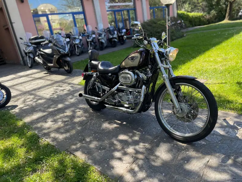 Harley-Davidson 1200 Custom (1995 - 00) - XL 1200C (5)