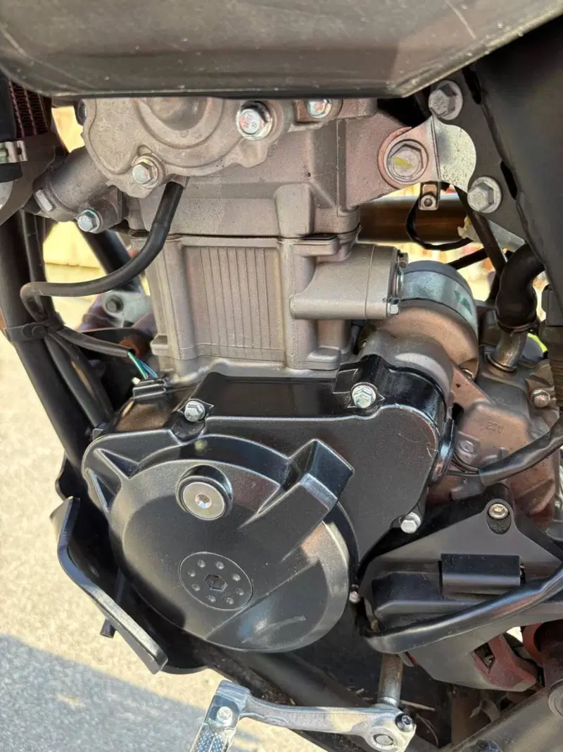 Betamotor RR 125 4T Enduro T (2023 - 24) (5)