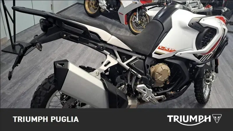MV Agusta LXP Orioli (2024 - 26) (4)