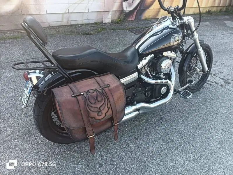 Harley-Davidson 1584 Wide Glide (2007 - 11) - FXDWG (6)