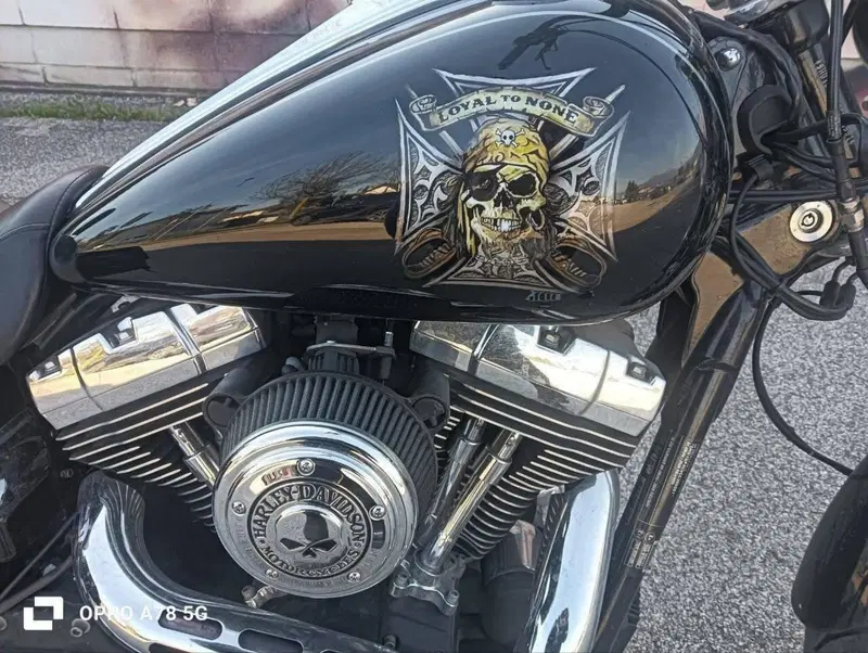 Harley-Davidson 1584 Wide Glide (2007 - 11) - FXDWG (8)