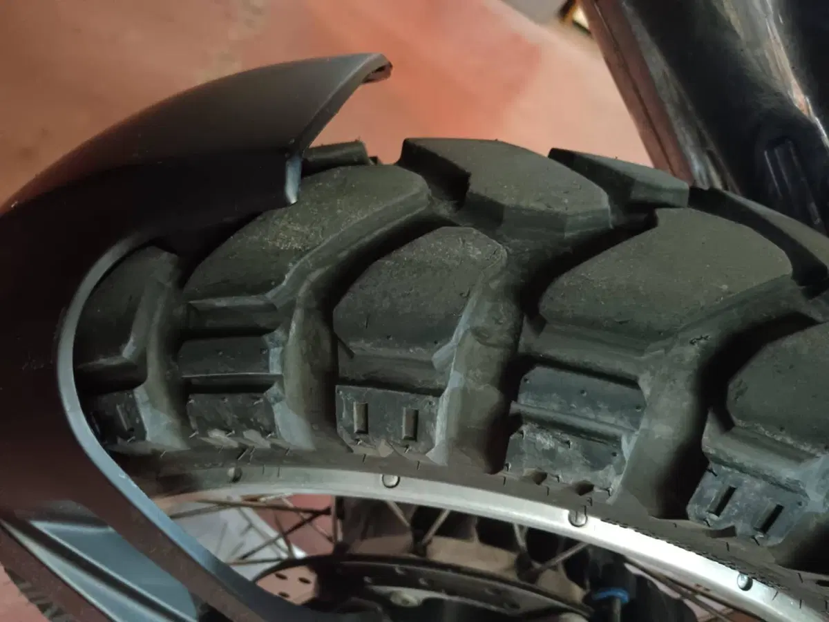 Bmw R 1150 GS (1999 - 03) (8)