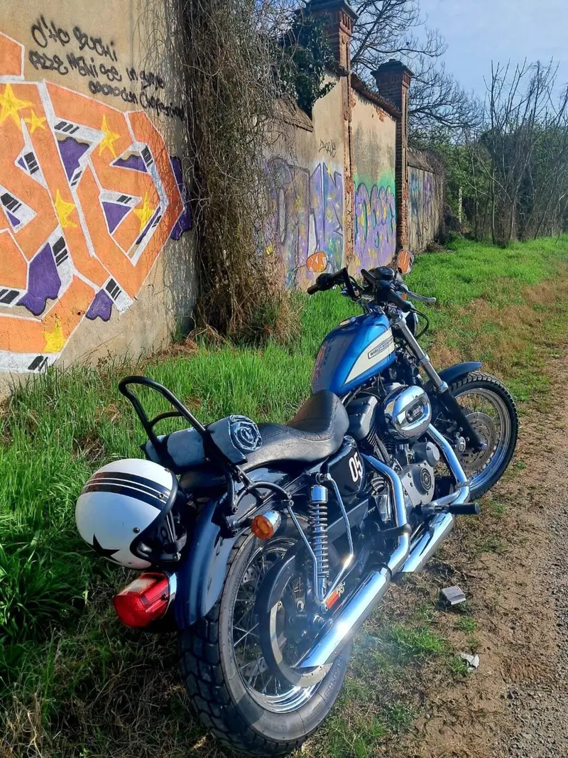 Harley-Davidson 1200 Roadster (2002 - 05) - XL 1200R (2)