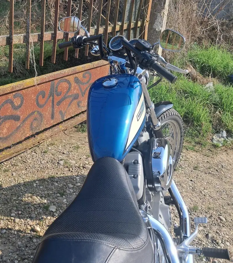 Harley-Davidson 1200 Roadster (2002 - 05) - XL 1200R (3)