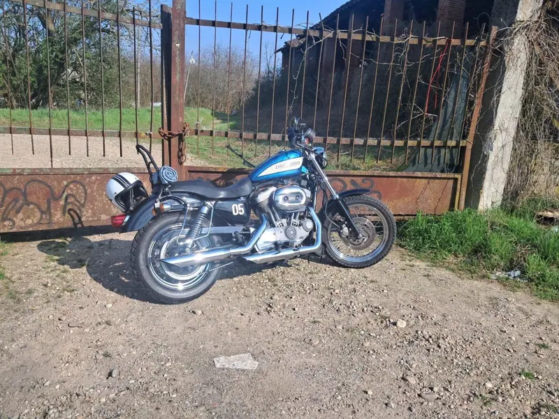 Harley-Davidson 1200 Roadster (2002 - 05) - XL 1200R (4)