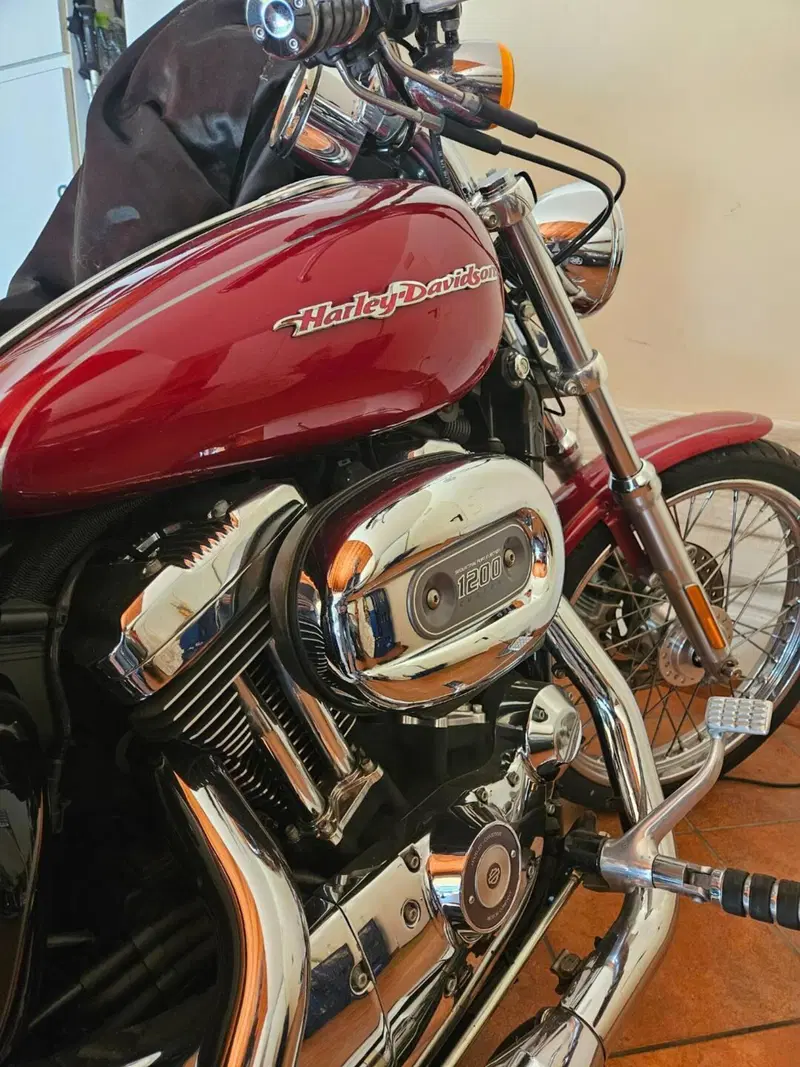 Harley-Davidson 1200 Custom (2007 - 13) - XL 1200C (3)