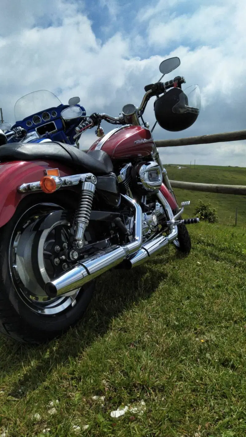 Harley-Davidson 1200 Custom (2007 - 13) - XL 1200C (4)