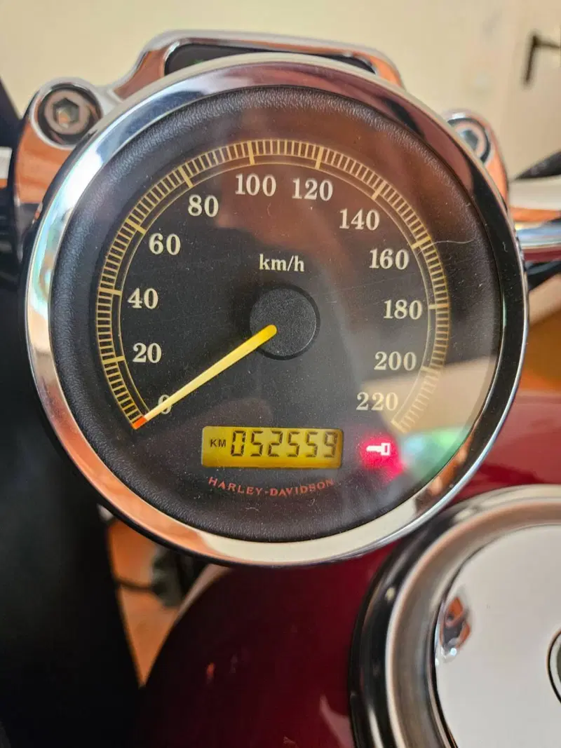 Harley-Davidson 1200 Custom (2007 - 13) - XL 1200C (5)