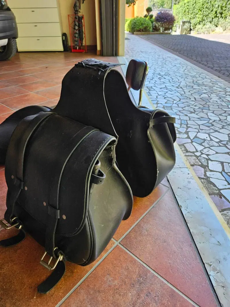 Harley-Davidson 1200 Custom (2007 - 13) - XL 1200C (6)