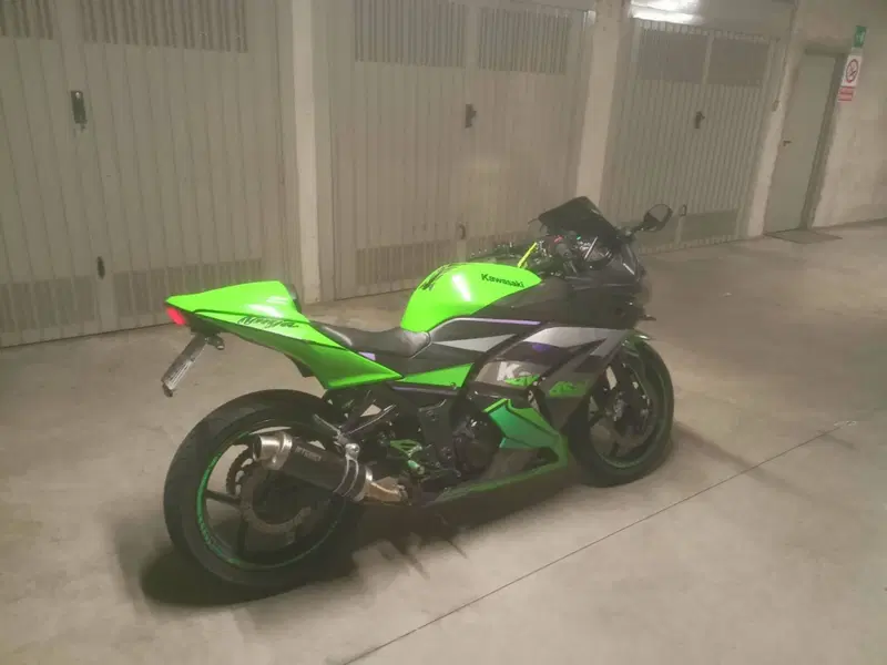 Kawasaki Ninja 250 R (2007 - 13) (2)