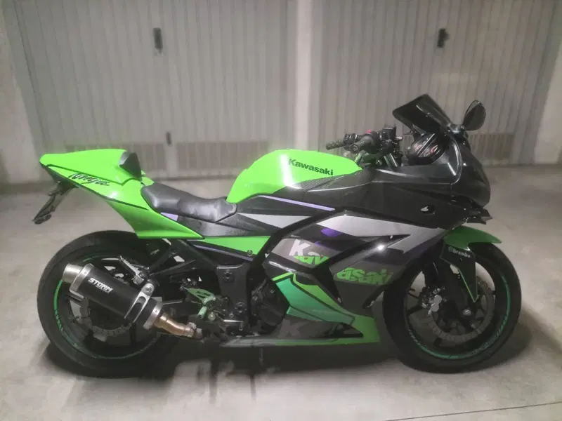 Kawasaki Ninja 250 R (2007 - 13) (3)