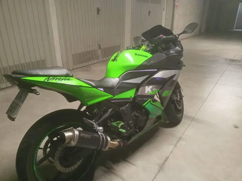 Kawasaki Ninja 250 R (2007 - 13) (7)