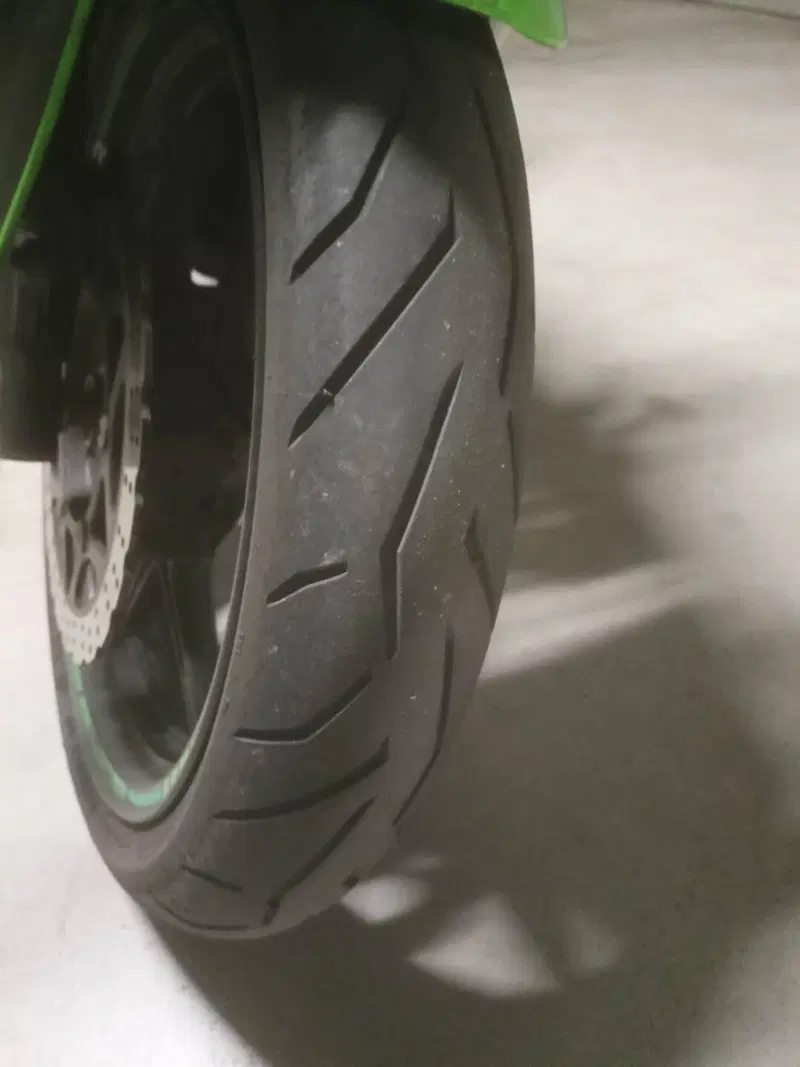 Kawasaki Ninja 250 R (2007 - 13) (8)