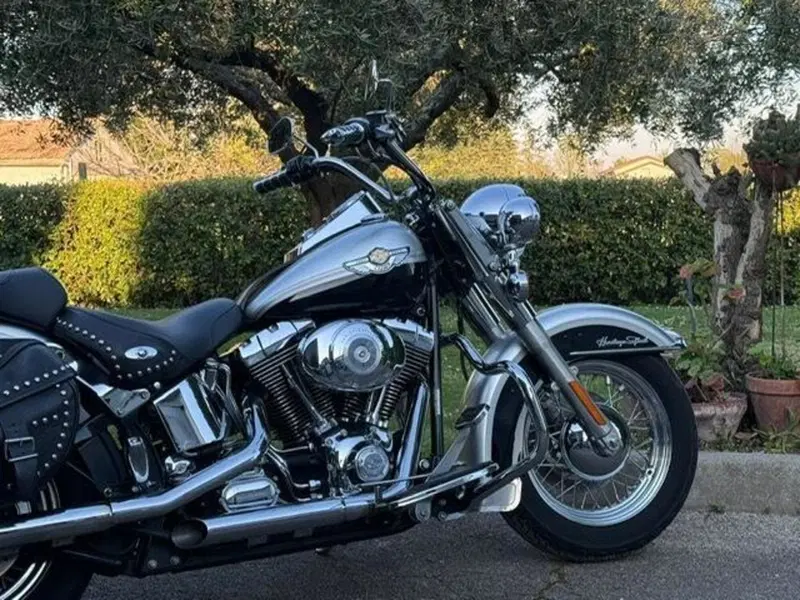 Harley-Davidson 1450 Heritage Classic (2003 - 05) - FLSTCI (10)