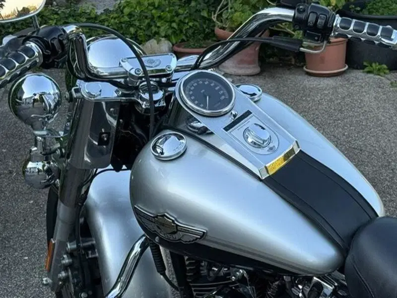 Harley-Davidson 1450 Heritage Classic (2003 - 05) - FLSTCI (13)