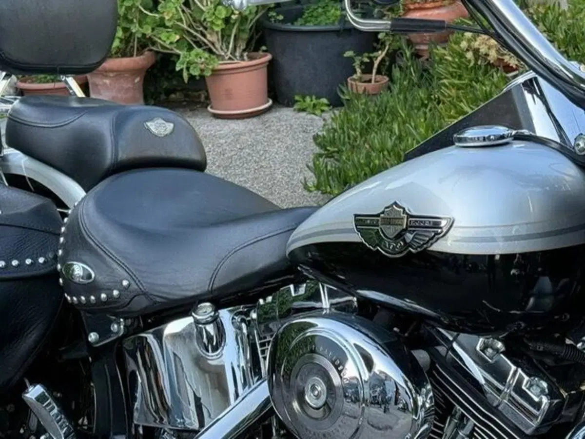 Harley-Davidson 1450 Heritage Classic (2003 - 05) - FLSTCI (18)