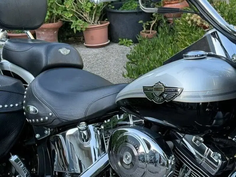 Harley-Davidson 1450 Heritage Classic (2003 - 05) - FLSTCI (18)